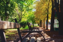 42002515_175924306622201_2493402940278165092_n