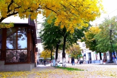 42756110_292999681534748_7187774064185983516_n