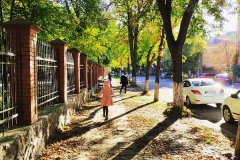 43388055_2228220010757835_8684461545482335729_n